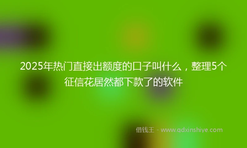 2025年热门直接出额度的口子叫什么，整理5个征信花居然都下款了的软件