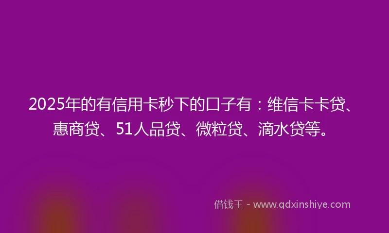 2025年的有信用卡秒下的口子有：维信卡卡贷、惠商贷、51人品贷、微粒贷、滴水贷等。