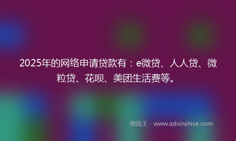 2025年的网络申请贷款有：e微贷、人人贷、微粒贷、花呗、美团生活费等。