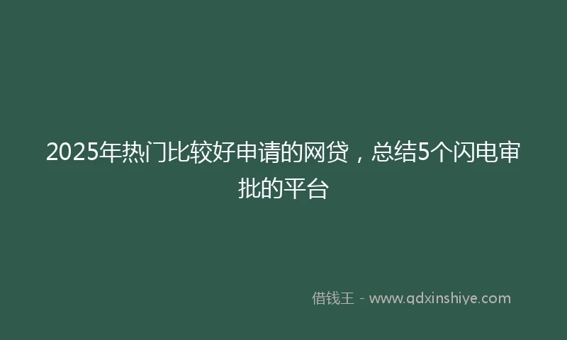 2025年热门比较好申请的网贷，总结5个闪电审批的平台