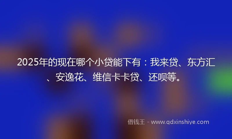 2025年的现在哪个小贷能下有：我来贷、东方汇、安逸花、维信卡卡贷、还呗等。