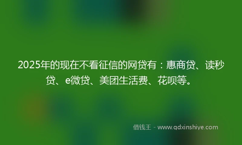 2025年的现在不看征信的网贷有：惠商贷、读秒贷、e微贷、美团生活费、花呗等。