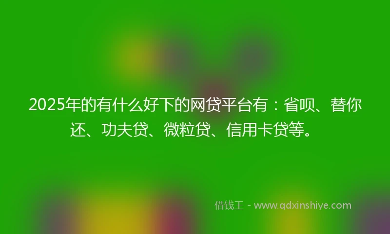 2025年的有什么好下的网贷平台有：省呗、替你还、功夫贷、微粒贷、信用卡贷等。