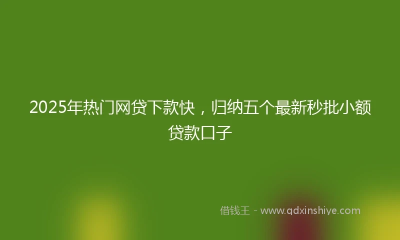 2025年热门网贷下款快，归纳五个最新秒批小额贷款口子