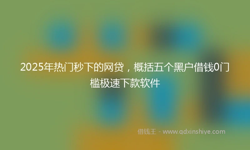 2025年热门秒下的网贷，概括五个黑户借钱0门槛极速下款软件