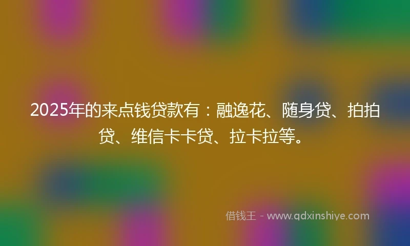 2025年的来点钱贷款有：融逸花、随身贷、拍拍贷、维信卡卡贷、拉卡拉等。