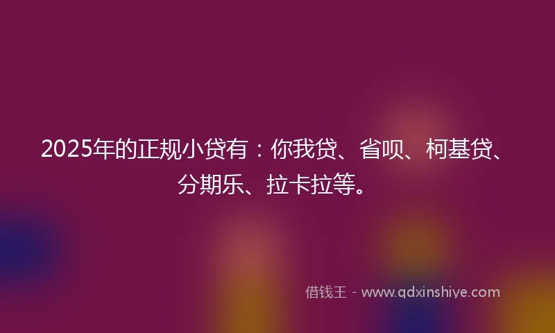 2025年的正规小贷有：你我贷、省呗、柯基贷、分期乐、拉卡拉等。