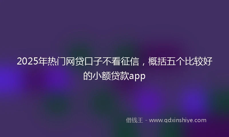 2025年热门网贷口子不看征信，概括五个比较好的小额贷款app