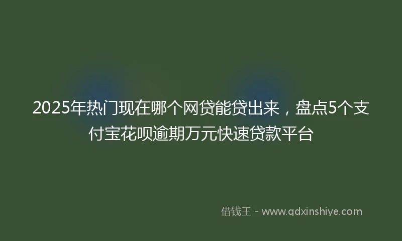 2025年热门现在哪个网贷能贷出来，盘点5个支付宝花呗逾期万元快速贷款平台