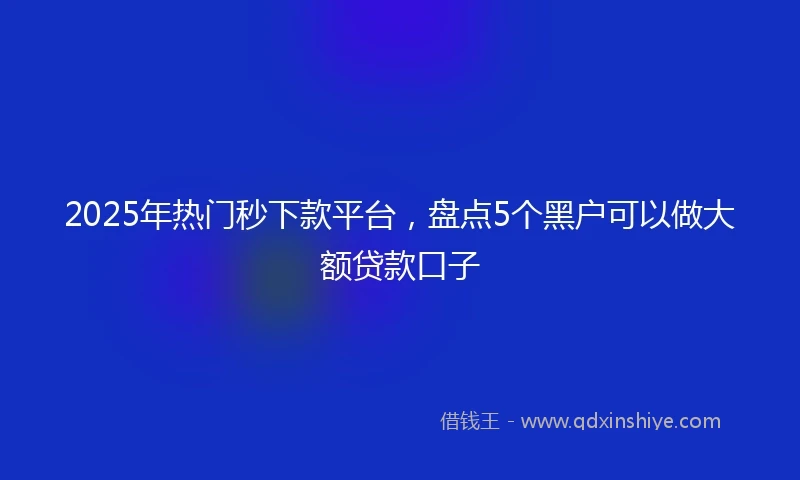 2025年热门秒下款平台，盘点5个黑户可以做大额贷款口子