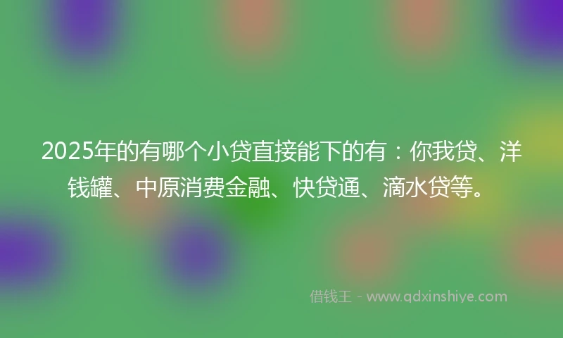 2025年的有哪个小贷直接能下的有：你我贷、洋钱罐、中原消费金融、快贷通、滴水贷等。