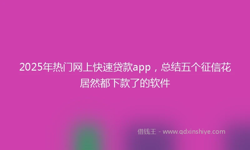 2025年热门网上快速贷款app，总结五个征信花居然都下款了的软件