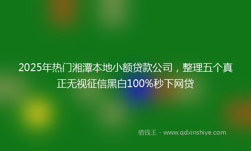 2025年热门湘潭本地小额贷款公司，整理五个真正无视征信黑白100%秒下网贷