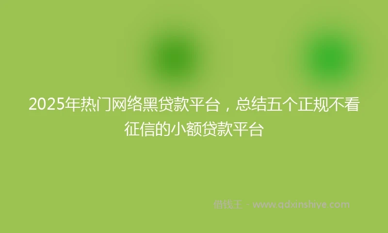 2025年热门网络黑贷款平台，总结五个正规不看征信的小额贷款平台