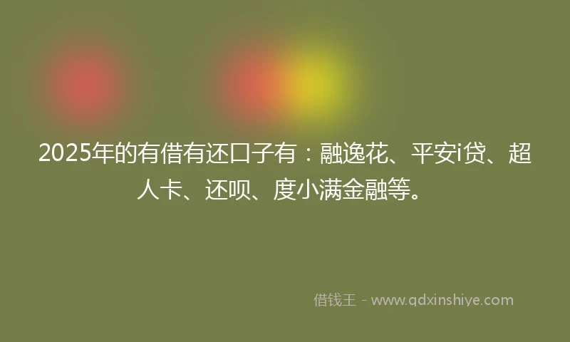 2025年的有借有还口子有：融逸花、平安i贷、超人卡、还呗、度小满金融等。