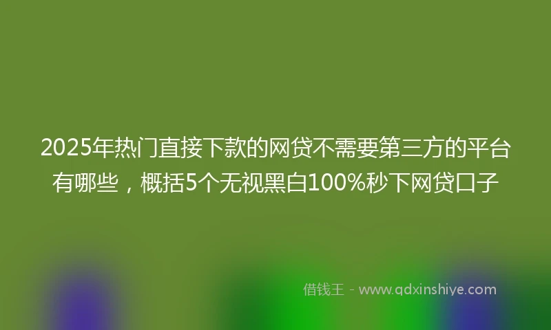 2025年热门直接下款的网贷不需要第三方的平台有哪些，概括5个无视黑白100%秒下网贷口子