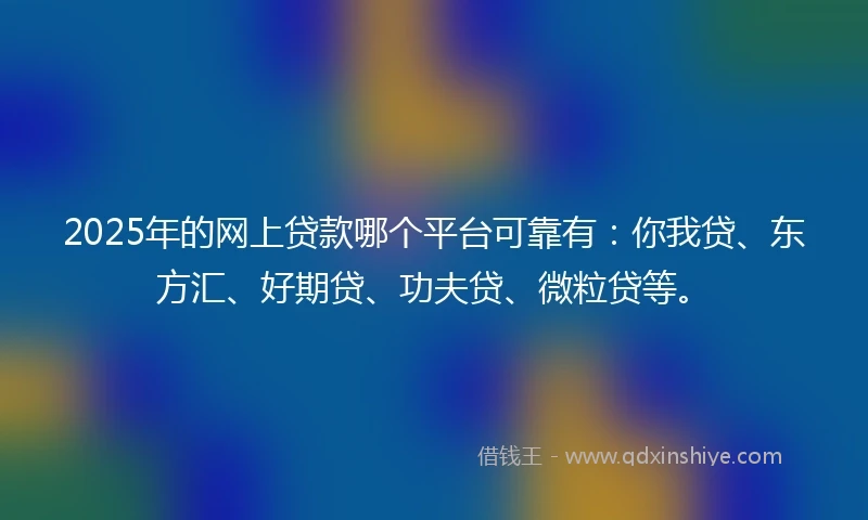 2025年的网上贷款哪个平台可靠有：你我贷、东方汇、好期贷、功夫贷、微粒贷等。