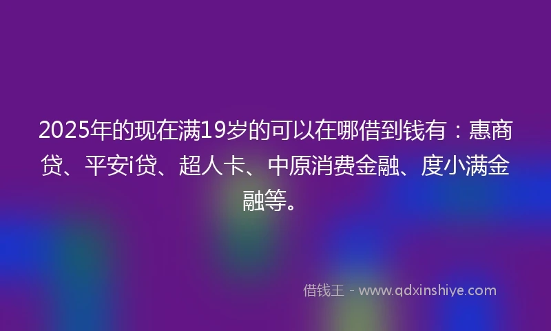 2025年的现在满19岁的可以在哪借到钱有：惠商贷、平安i贷、超人卡、中原消费金融、度小满金融等。