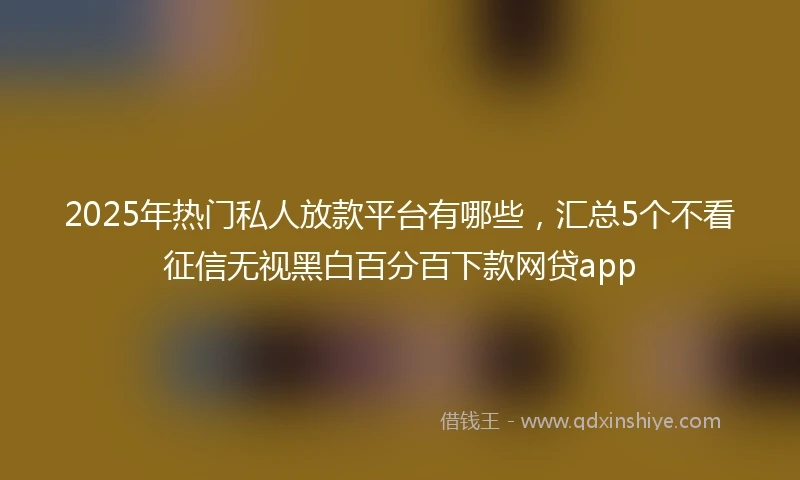 2025年热门私人放款平台有哪些，汇总5个不看征信无视黑白百分百下款网贷app