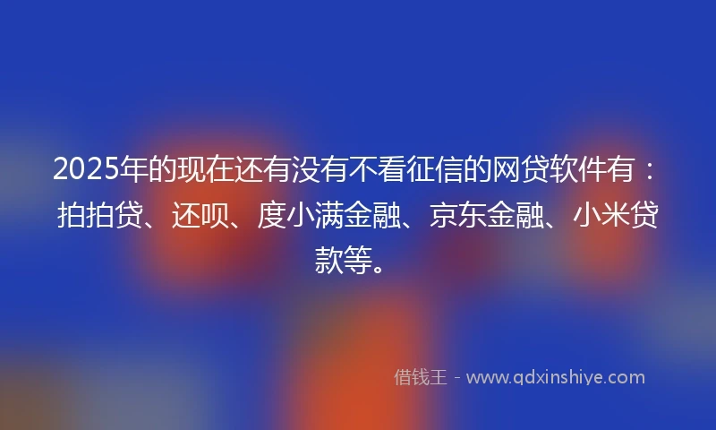 2025年的现在还有没有不看征信的网贷软件有：拍拍贷、还呗、度小满金融、京东金融、小米贷款等。