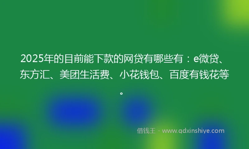 2025年的目前能下款的网贷有哪些有：e微贷、东方汇、美团生活费、小花钱包、百度有钱花等。