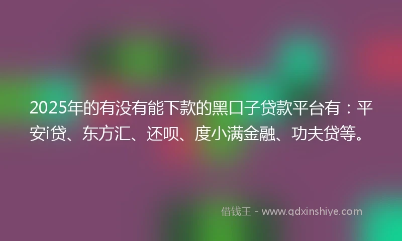 2025年的有没有能下款的黑口子贷款平台有：平安i贷、东方汇、还呗、度小满金融、功夫贷等。