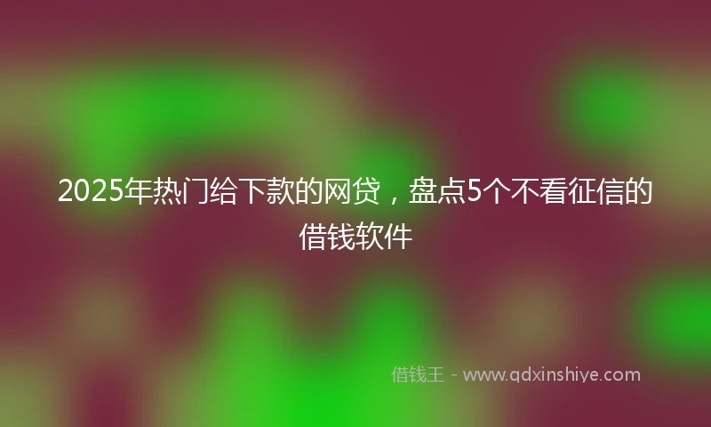 2025年热门给下款的网贷，盘点5个不看征信的借钱软件
