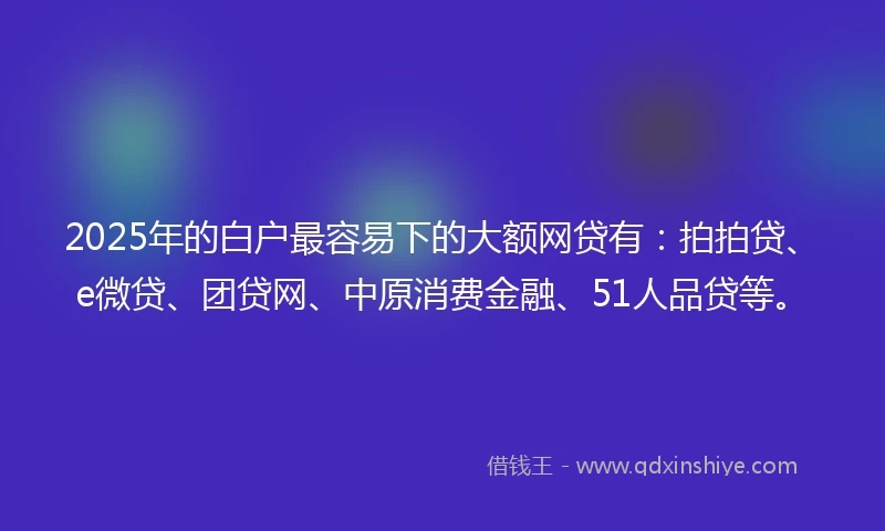 2025年的白户最容易下的大额网贷有：拍拍贷、e微贷、团贷网、中原消费金融、51人品贷等。