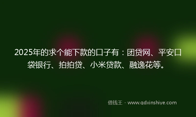 2025年的求个能下款的口子有：团贷网、平安口袋银行、拍拍贷、小米贷款、融逸花等。