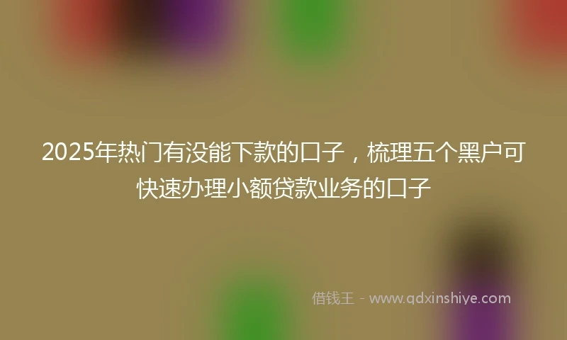 2025年热门有没能下款的口子，梳理五个黑户可快速办理小额贷款业务的口子