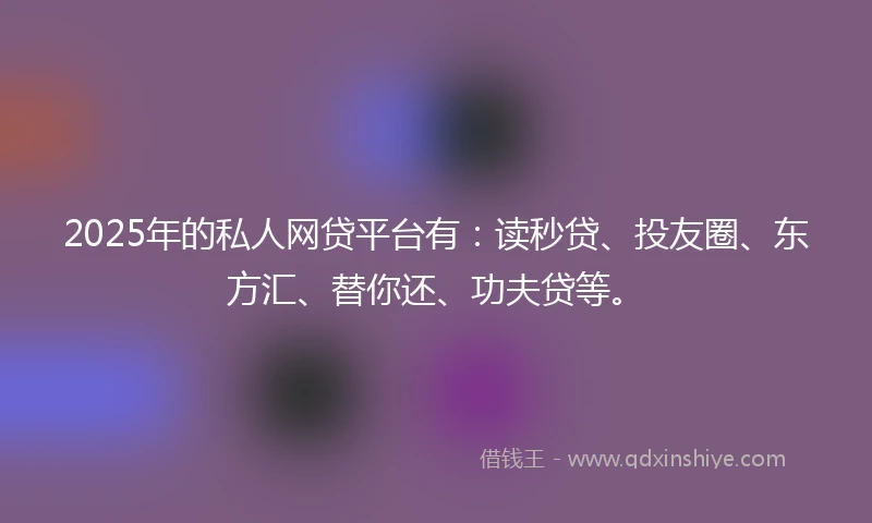 2025年的私人网贷平台有：读秒贷、投友圈、东方汇、替你还、功夫贷等。