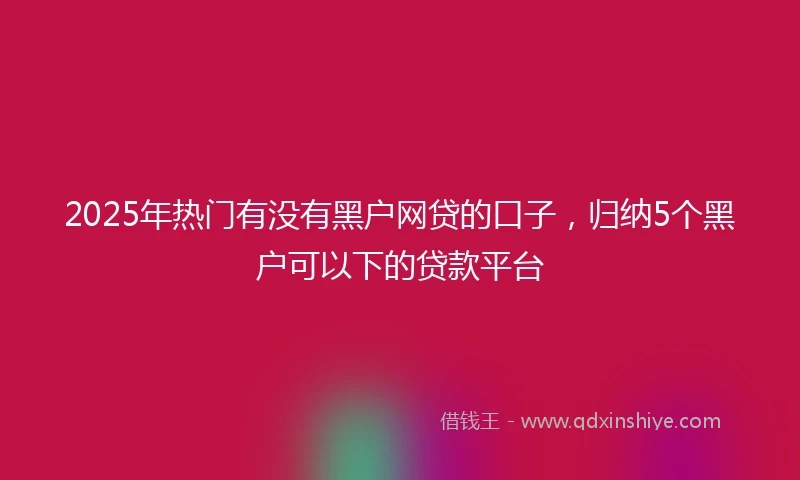 2025年热门有没有黑户网贷的口子，归纳5个黑户可以下的贷款平台