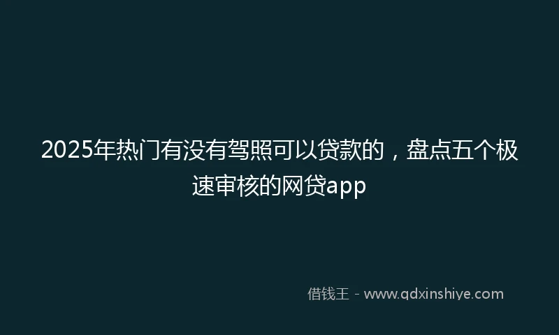 2025年热门有没有驾照可以贷款的，盘点五个极速审核的网贷app