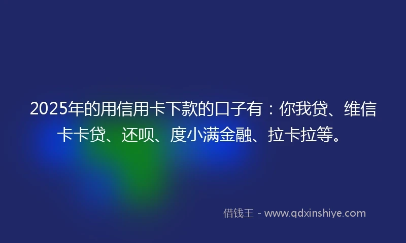 2025年的用信用卡下款的口子有：你我贷、维信卡卡贷、还呗、度小满金融、拉卡拉等。