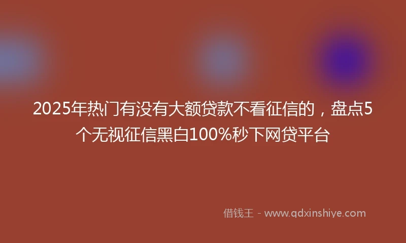 2025年热门有没有大额贷款不看征信的，盘点5个无视征信黑白100%秒下网贷平台