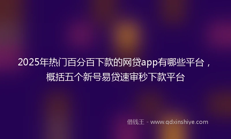 2025年热门百分百下款的网贷app有哪些平台，概括五个新号易贷速审秒下款平台