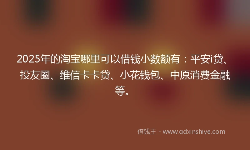 2025年的淘宝哪里可以借钱小数额有：平安i贷、投友圈、维信卡卡贷、小花钱包、中原消费金融等。