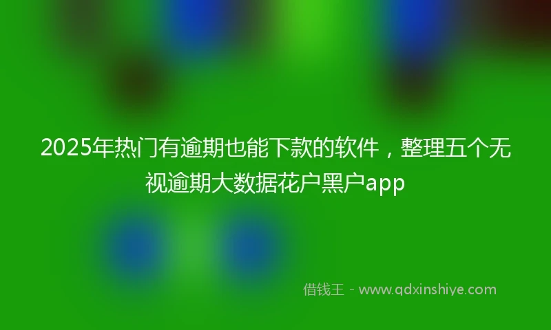 2025年热门有逾期也能下款的软件，整理五个无视逾期大数据花户黑户app