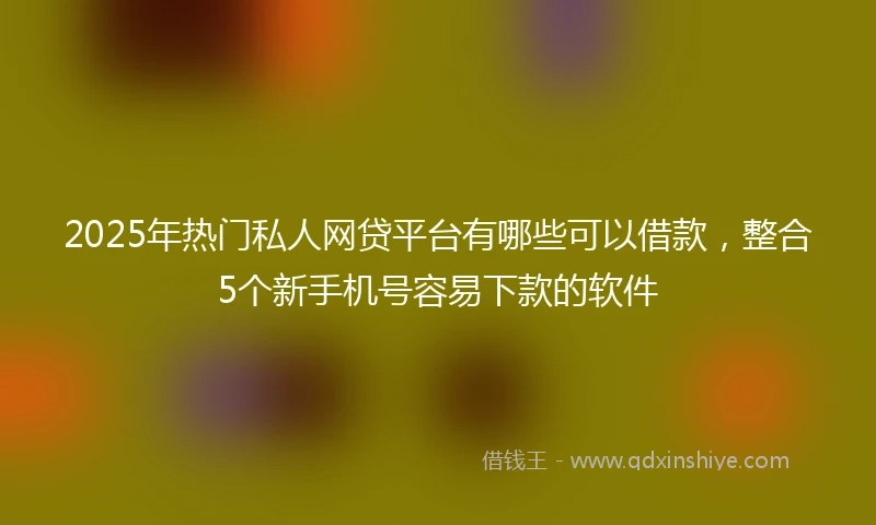 2025年热门私人网贷平台有哪些可以借款，整合5个新手机号容易下款的软件