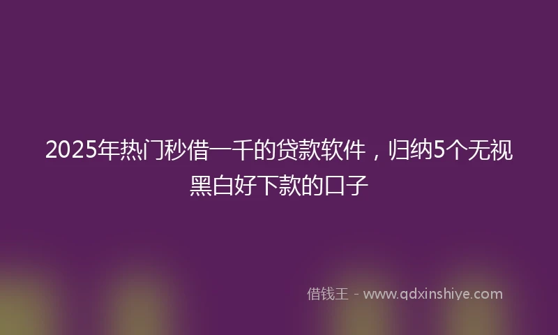 2025年热门秒借一千的贷款软件，归纳5个无视黑白好下款的口子