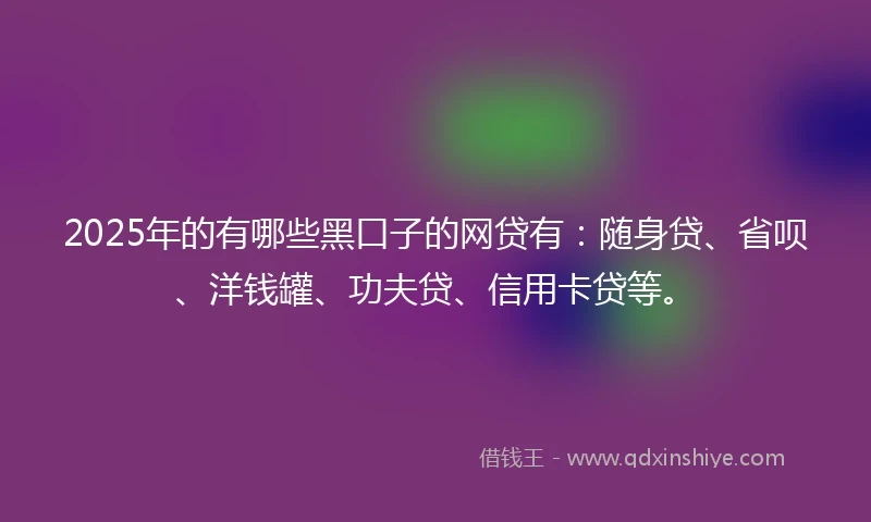 2025年的有哪些黑口子的网贷有：随身贷、省呗、洋钱罐、功夫贷、信用卡贷等。