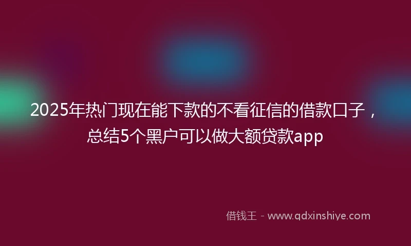 2025年热门现在能下款的不看征信的借款口子，总结5个黑户可以做大额贷款app