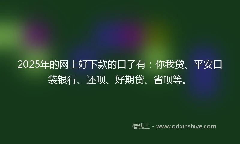 2025年的网上好下款的口子有：你我贷、平安口袋银行、还呗、好期贷、省呗等。