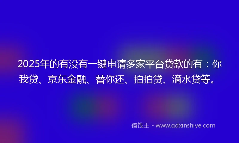 2025年的有没有一键申请多家平台贷款的有：你我贷、京东金融、替你还、拍拍贷、滴水贷等。