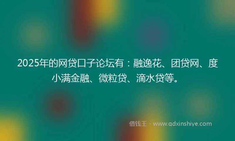 2025年的网贷口子论坛有：融逸花、团贷网、度小满金融、微粒贷、滴水贷等。