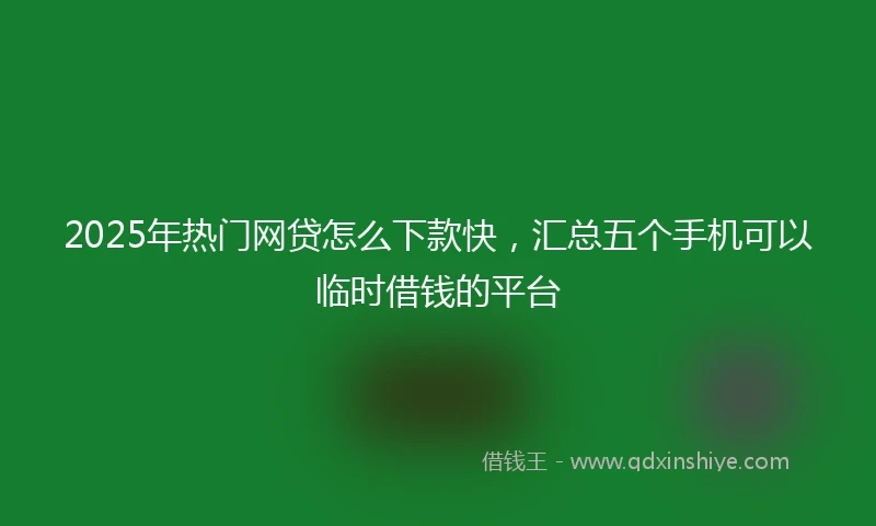 2025年热门网贷怎么下款快，汇总五个手机可以临时借钱的平台