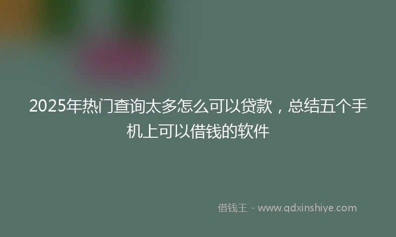 2025年热门查询太多怎么可以贷款，总结五个手机上可以借钱的软件