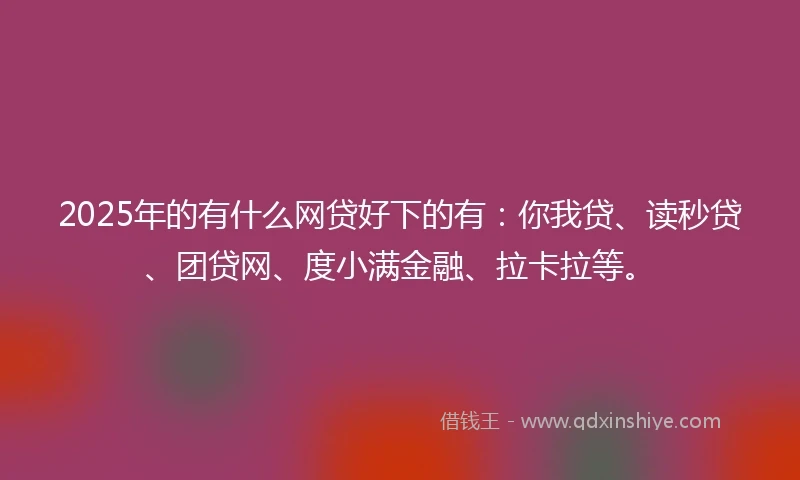 2025年的有什么网贷好下的有：你我贷、读秒贷、团贷网、度小满金融、拉卡拉等。