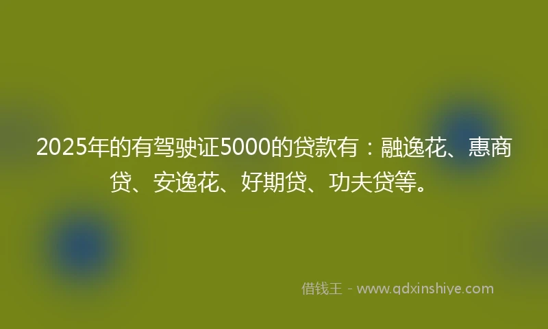 2025年的有驾驶证5000的贷款有：融逸花、惠商贷、安逸花、好期贷、功夫贷等。