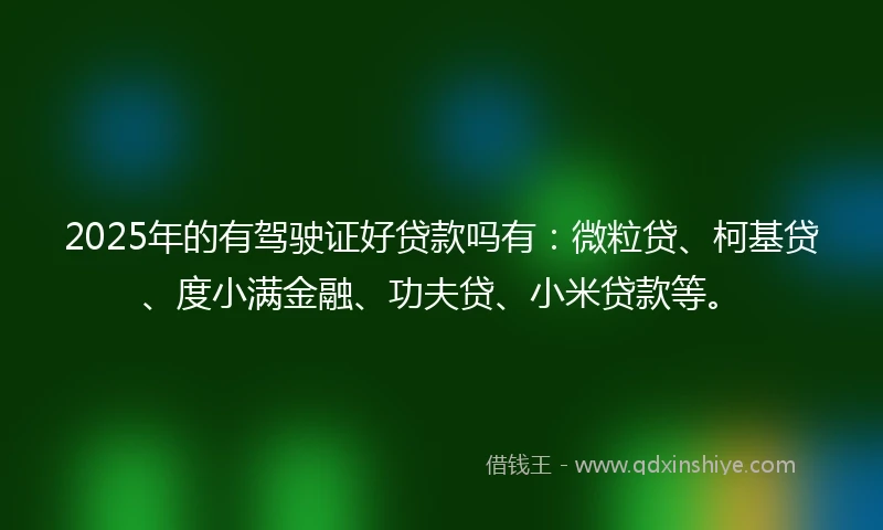 2025年的有驾驶证好贷款吗有：微粒贷、柯基贷、度小满金融、功夫贷、小米贷款等。
